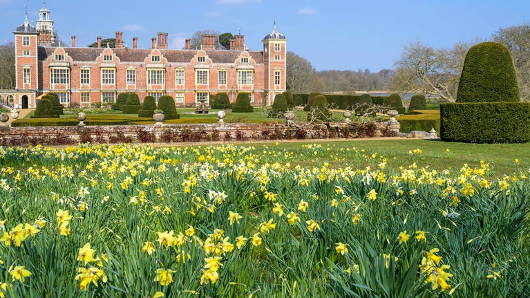 Daffodils, the parterre and the house in spring at Blickling Estate, Norfolk